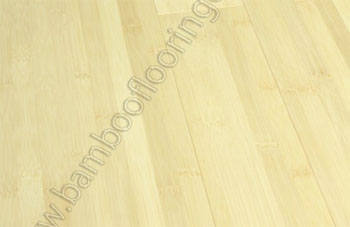 What are the differences between wood flooring species - bamboo