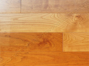 What are the differences between wood flooring species - cherry