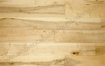 What are the differences between wood flooring species - maple