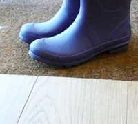 Winter care for hardwood floors - feature