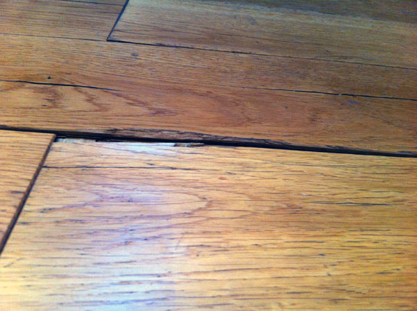 We Used a Steam Mop on Hardwood Floors and This Happened - Oak Abode